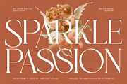Sparkle Passion All Caps Display, a Serif Font by timelesstype.co (Thumbnail 1 of 20)