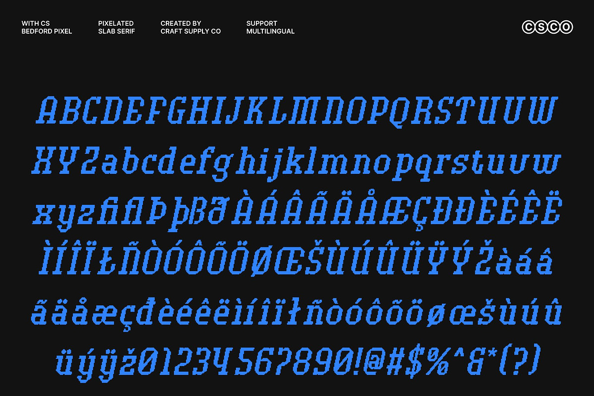CS Bedford Pixel, a Slab Serif Font by Craft Supply Co. (Photo 8 of 8)