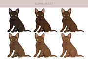 Suphalak cat clipart, an Animal Illustration by pet design shop (Thumbnail 4 of 6)
