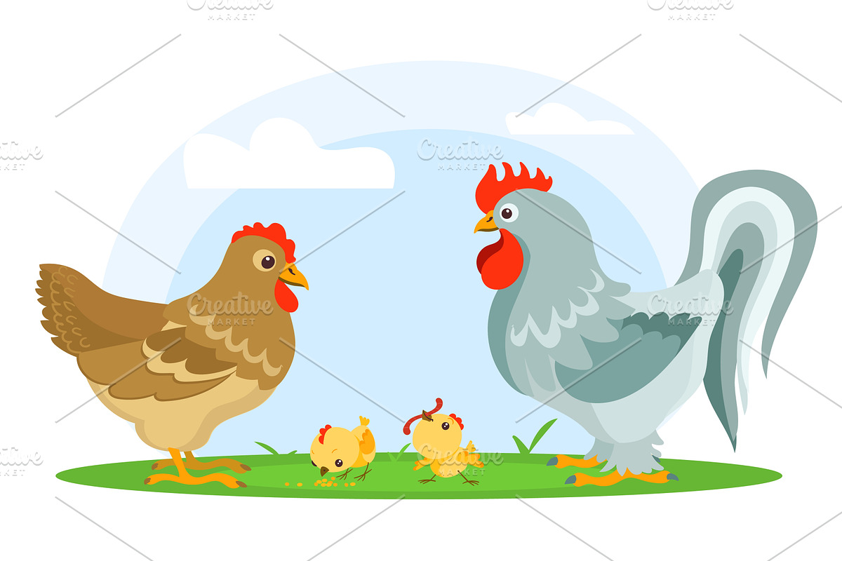 Chicken family. Rooster with hen and, an Animal Illustration by Vectorbuum
