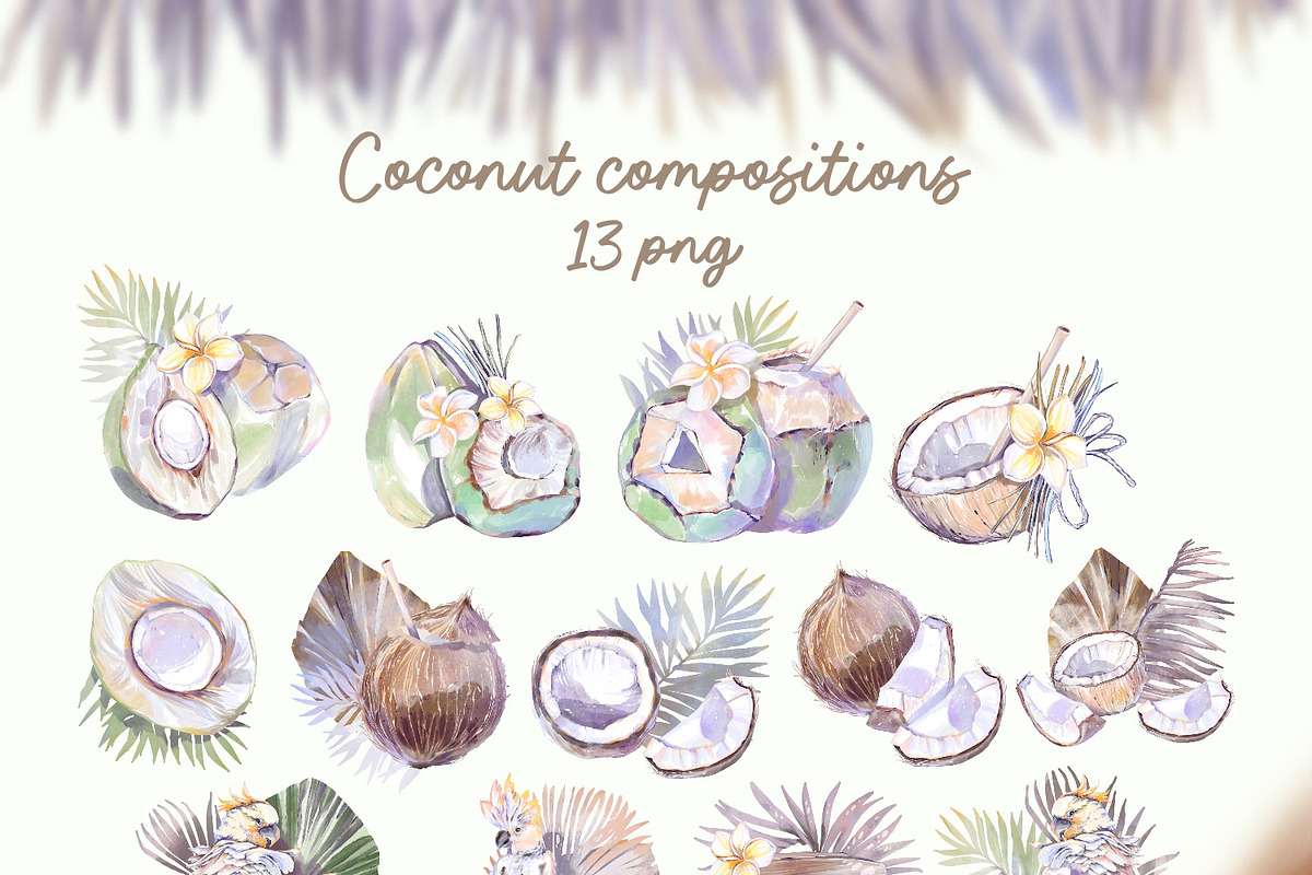 Coconut Beach Shop watercolor, a Food Illustration by Shabbypie (Photo 6 of 9)