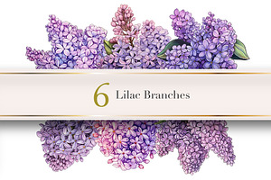 Watercolor Purple Florals Cliparts