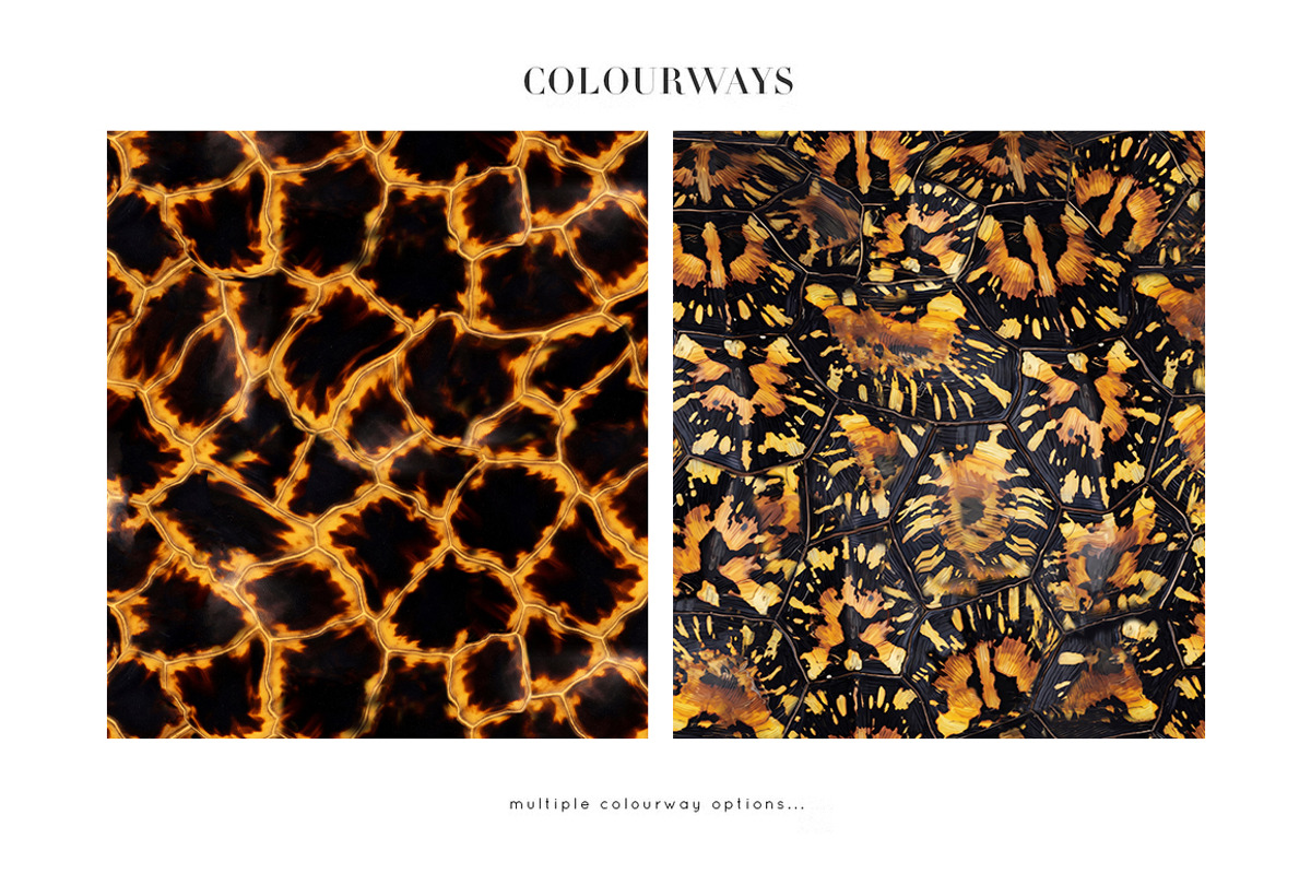 Bundle Animal Patterns, a Pattern Graphic by Luiz da Rolt Grathwohl (Photo 9 of 18)