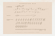 Peach Mondela Beauty Calligraphy, a Script Font by Storytype Studio (Thumbnail 14 of 15)