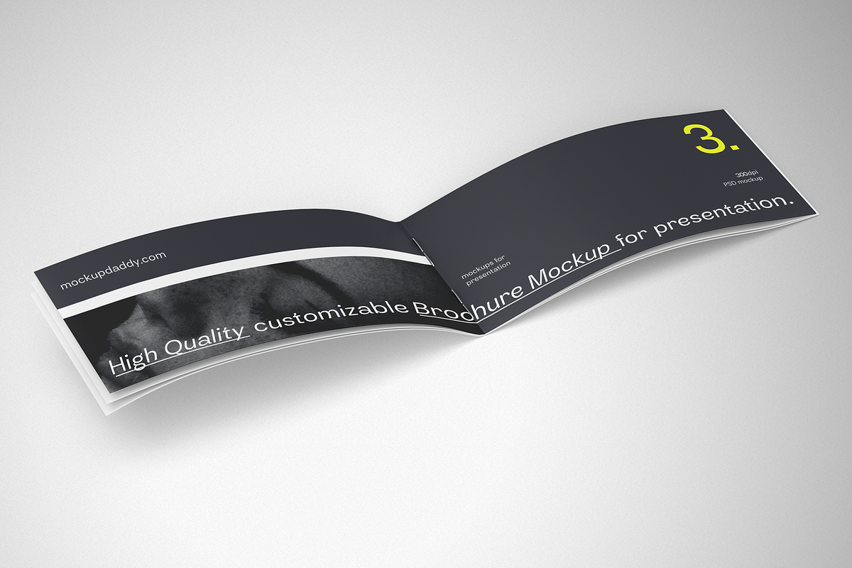 DL Landscape Brochure Mockup, a Product Mockup by Mockupdaddy (Photo 15 of 15)