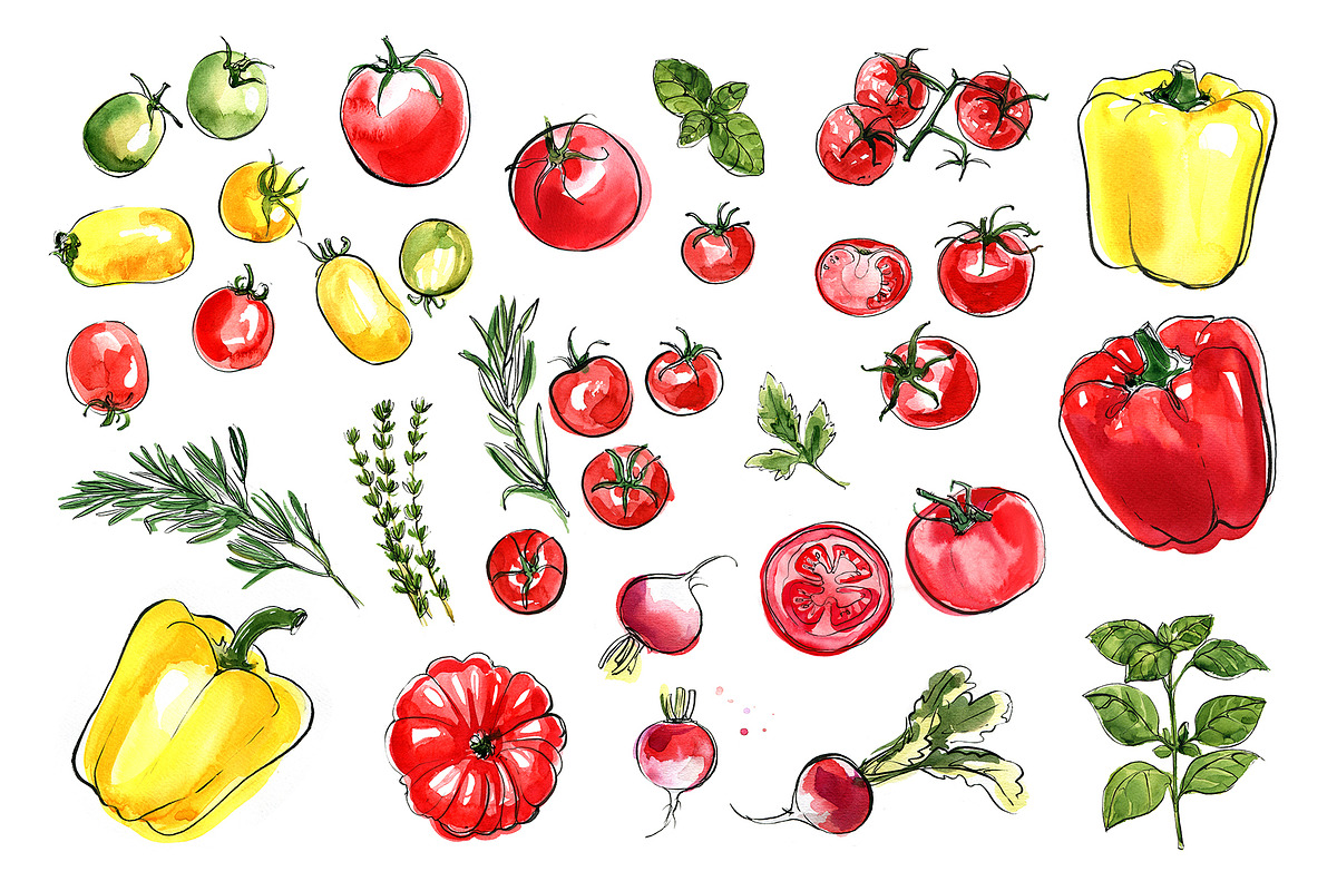 Food watercolor. Vegetables, a Food Illustration by irina.vaneeva (Photo 2 of 25)