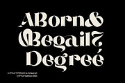 10+ MODERN FONT BUNDLE SALE, a Serif Font by delipensil (Thumbnail 26 of 27)