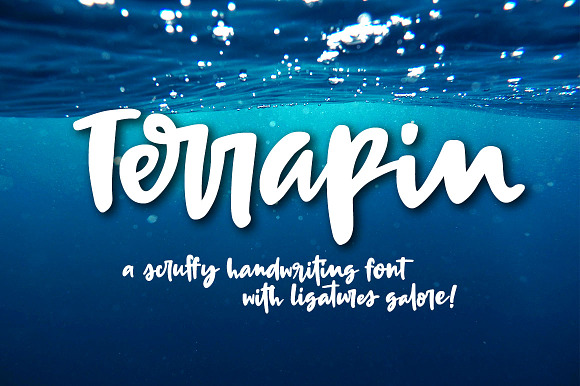 Terrapin: a scrappy handwriting font preview 8