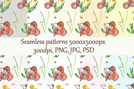 Seamless patterns Ladybug on bike