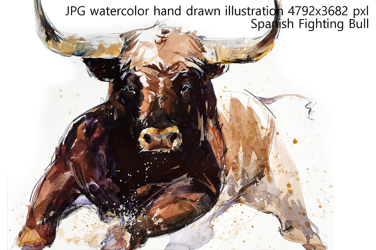 Cattle & Bulls Megabundle: 28 Breeds, an Animal Illustration by FineArt (Photo 3 of 16)