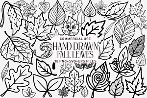 Hand Drawn  Fall Leaves Clipart Bund, an Illustration by Daily.Designs