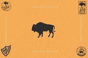 WILDLIFE, an Animal Illustration by Artistic & Unique (Thumbnail 6 of 6)