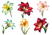 Whimsical Suisen flower spring Clip, an Illustration by Designworld (Thumbnail 4 of 5)