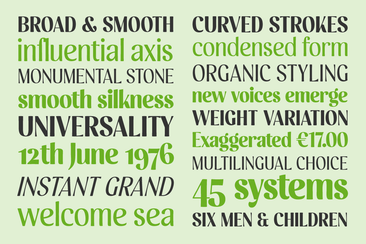 Scootchy, a Sans Serif Font by Typogama (Photo 7 of 13)