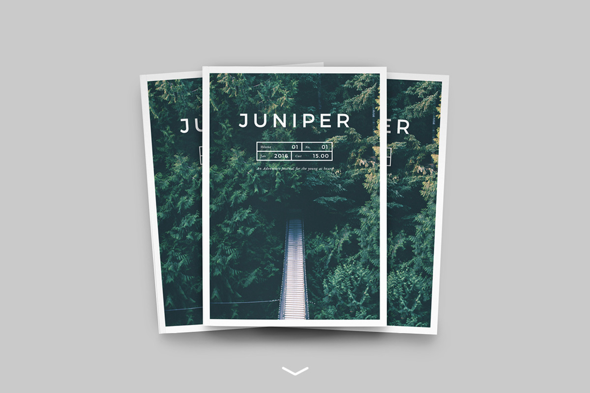 J U N I P E R  Branding Bundle!, a Packaging Mockup by 46&2 Collective (Photo 2 of 21)