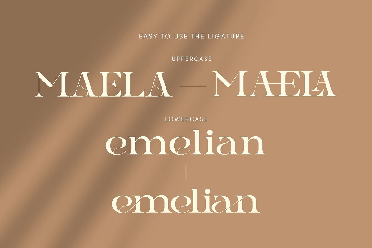 Gauker - Modern Ligatures Serif, a Serif Font by Nirmana Visual (Photo 11 of 12)