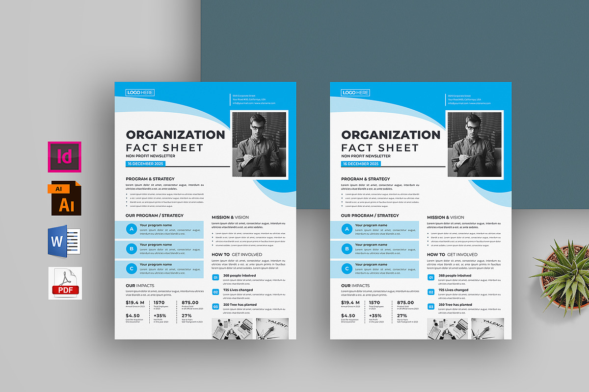 Nonprofit Organization Fact Sheet, a Flyer Template by obayes (Photo 1 of 3)