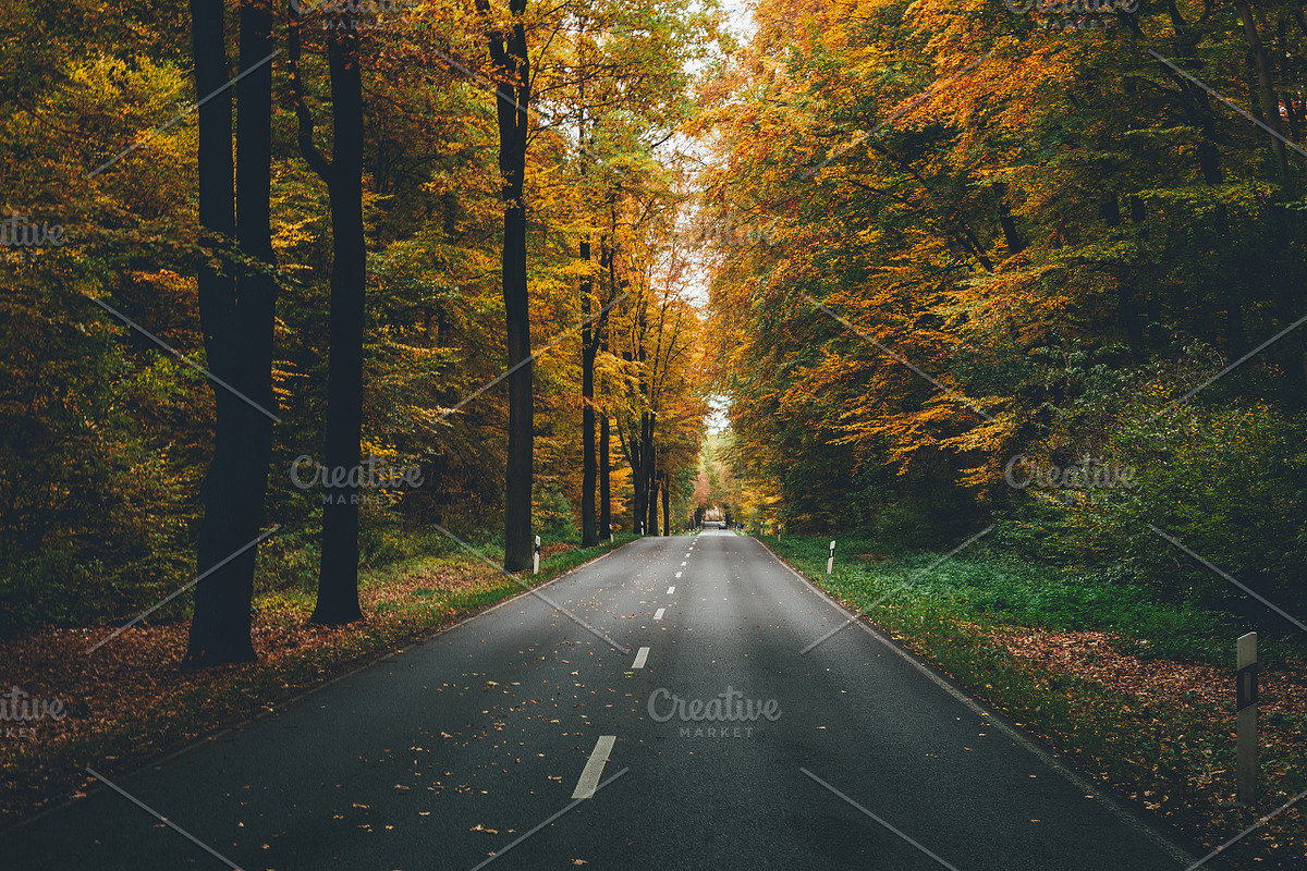 100+ New Hi-Res Autumn Photos, a Background Photo by moonloop (Photo 4 of 13)