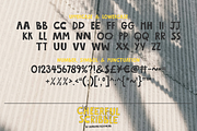 Cheerful Scribble – Quirky Display, a Handwritten Font by shineink.designlab (Thumbnail 9 of 12)