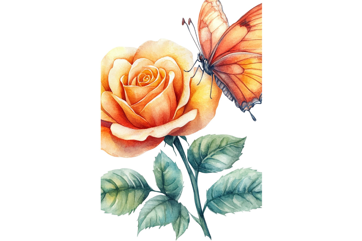 Watercolor Butterfly and Roses Clipa, an Illustration by DreamCafeArt (Photo 6 of 6)