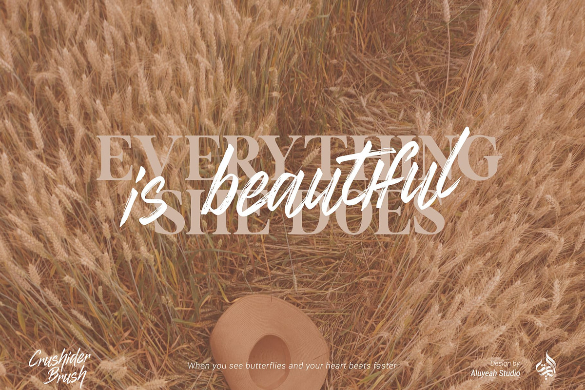Crushider Brush, a Script Font by Aluyeah Studio (Photo 6 of 14)