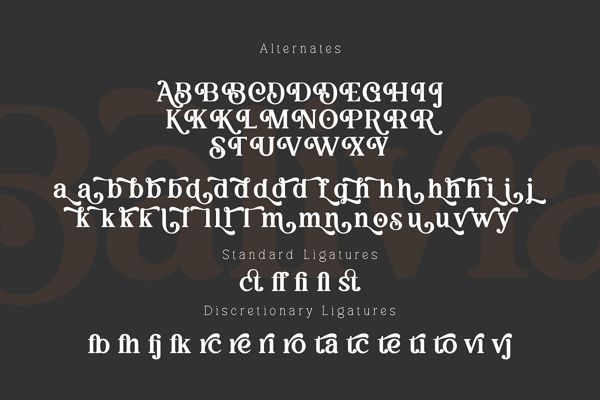 Balivia - Bold Serif Family, a Serif Font by Ardyanatypes (Photo 9 of 12)