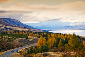 New Zealand Spectacular Drive, a Nature Photo by THP Creative