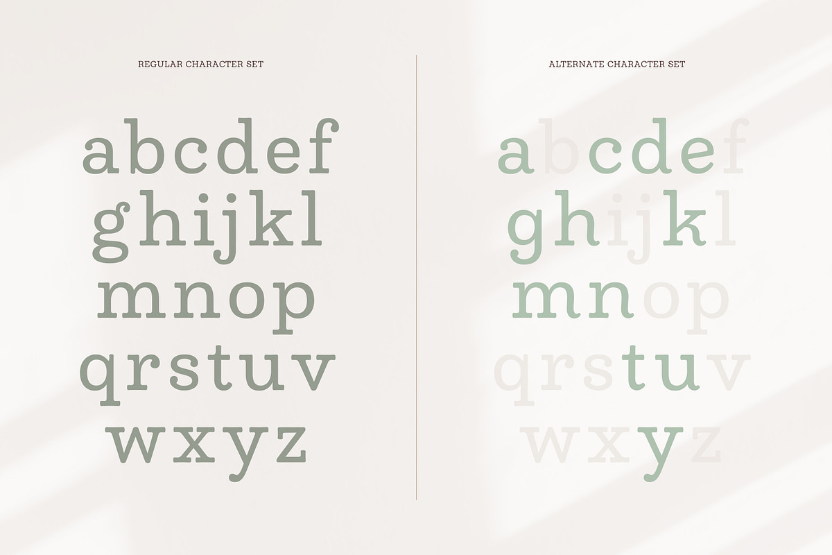 Madley Typeface, a Serif Font by Kimmy Design (Photo 9 of 12)