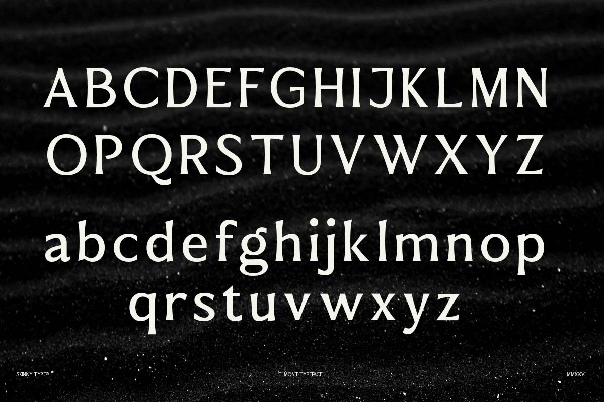 Elmont | 18 Fonts, a Serif Font by Skinny Type (Photo 7 of 10)