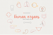 16300 in 1 - GRAPHIC GIANT BUNDLE, an Illustration by Julia Dreams (Thumbnail 92 of 99)