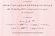 Lunabelle Script Font, a Handwritten Font by Beck McCormick (Thumbnail 10 of 10)