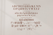Adoha Modern Serif Font, a Serif Font by Storytype Studio (Thumbnail 13 of 15)
