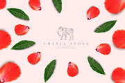 BOHO SOUL scene creator & items, a Product Mockup by Isabelle Salem (Thumbnail 9 of 11)