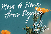 Belle Papillon - Handwritten Font, a Handwritten Font by VASTARD STUDIO (Thumbnail 12 of 12)