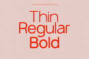 Summer Riviera Vintage Trio, a Sans Serif Font by Schrifted Type (Thumbnail 3 of 8)