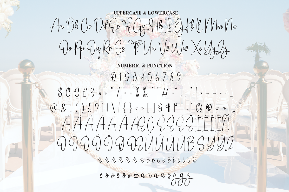 Wedding Ceremony | Script Font, a Handwritten Font by Scratchones (Photo 7 of 8)