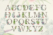 Eucalyptus Collection+Letter, a Decorative Illustration by Astarte_design (Thumbnail 8 of 11)