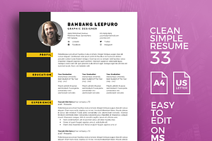 Resume Template 33