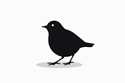 Bird Silhouette design bundle, an Illustration by hafijul (Thumbnail 7 of 13)