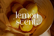 Agathias Stenchy Modern Serif Font, a Serif Font by UICreative (Thumbnail 3 of 9)
