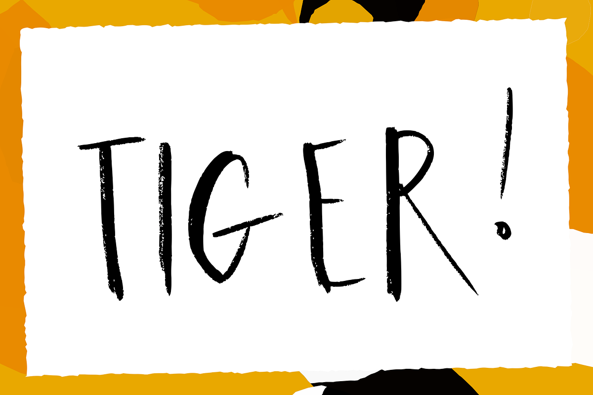 Wild Ones Handmade Font, a Handwritten Font by Maker Fonts (Photo 4 of 13)