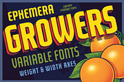EFCO Growers Variable Fonts, a Sans Serif Font by Ilham Herry (Thumbnail 1 of 7)