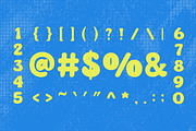 Pufetto Modern Bold Typeface Font, a Serif Font by Vadovastd (Thumbnail 3 of 8)