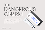 Gracheva | Premium Display Font, a Serif Font by Aluyeah Studio (Thumbnail 9 of 16)