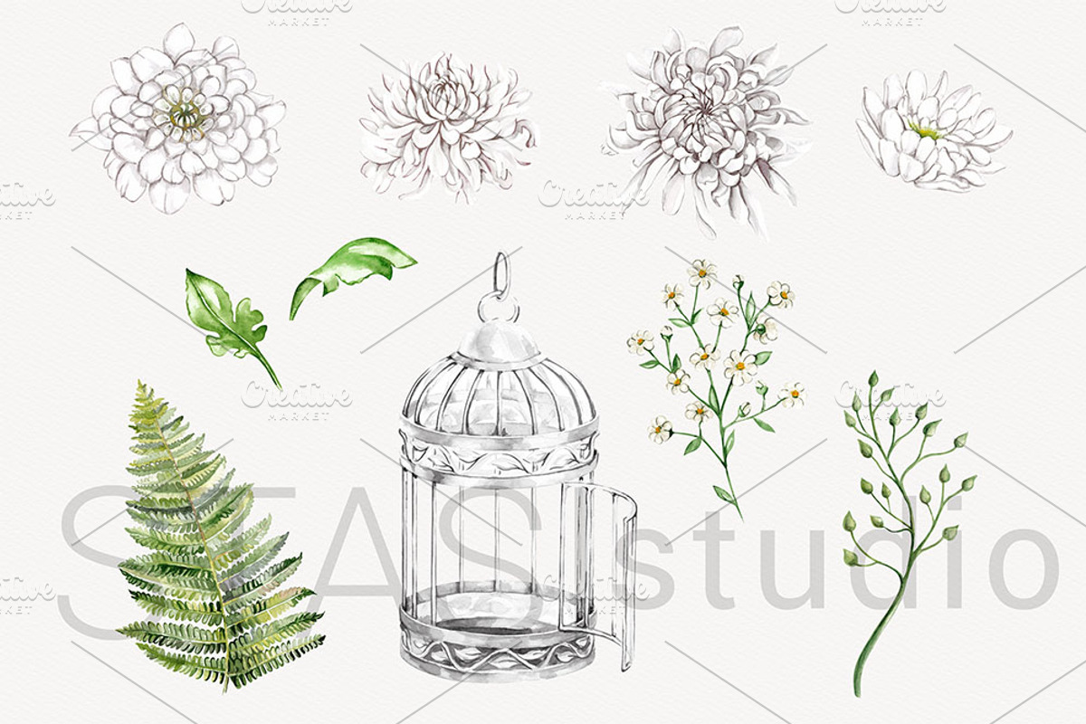 White Peony & Silver Cage Clipart, a Decorative Illustration by STASIstudio (Photo 3 of 3)