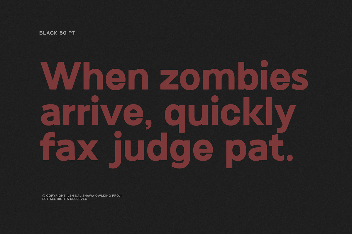 Mickir, a Sans Serif Font by OWL KING (Photo 5 of 8)