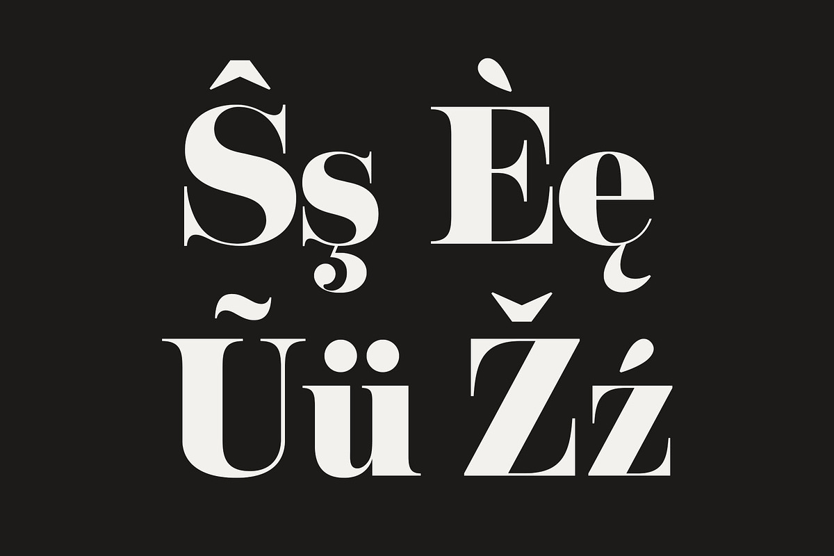 NT Josefine, a Serif Font by nevsky.type (Photo 7 of 15)