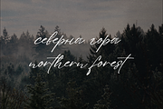 Sign That - Signature font, a Script Font by VP Fonts (Thumbnail 11 of 20)