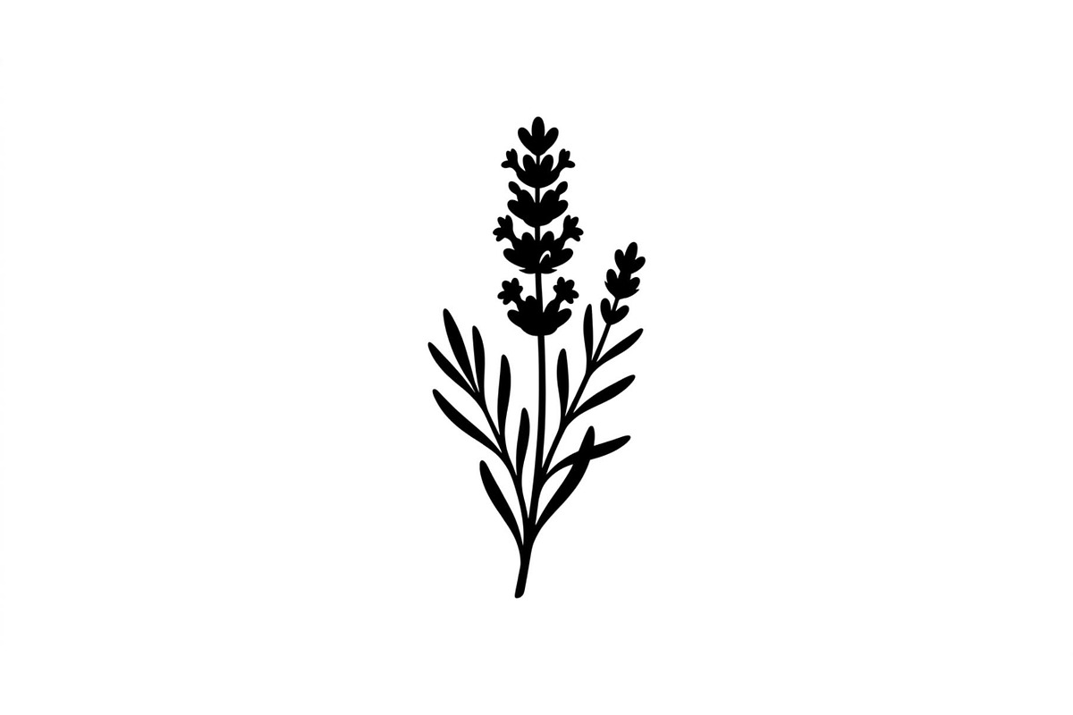 Lavender Botanical Silhouette Set, an Object Graphic by Designs_River (Photo 3 of 3)