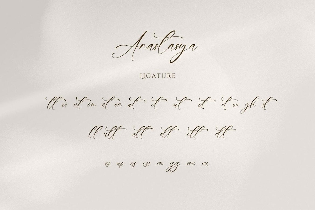 Anastasya Handwritten Signature Font, a Handwritten Font by CreateBigSupply (Photo 8 of 9)